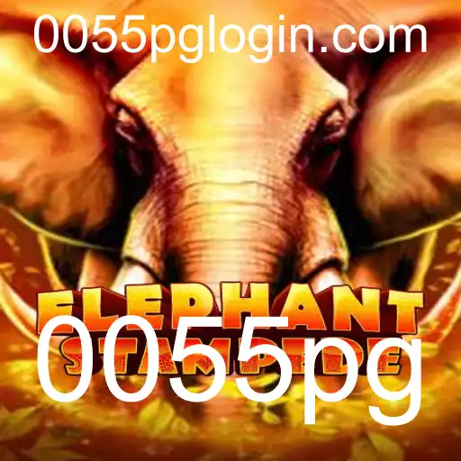 0055pg Bingo online